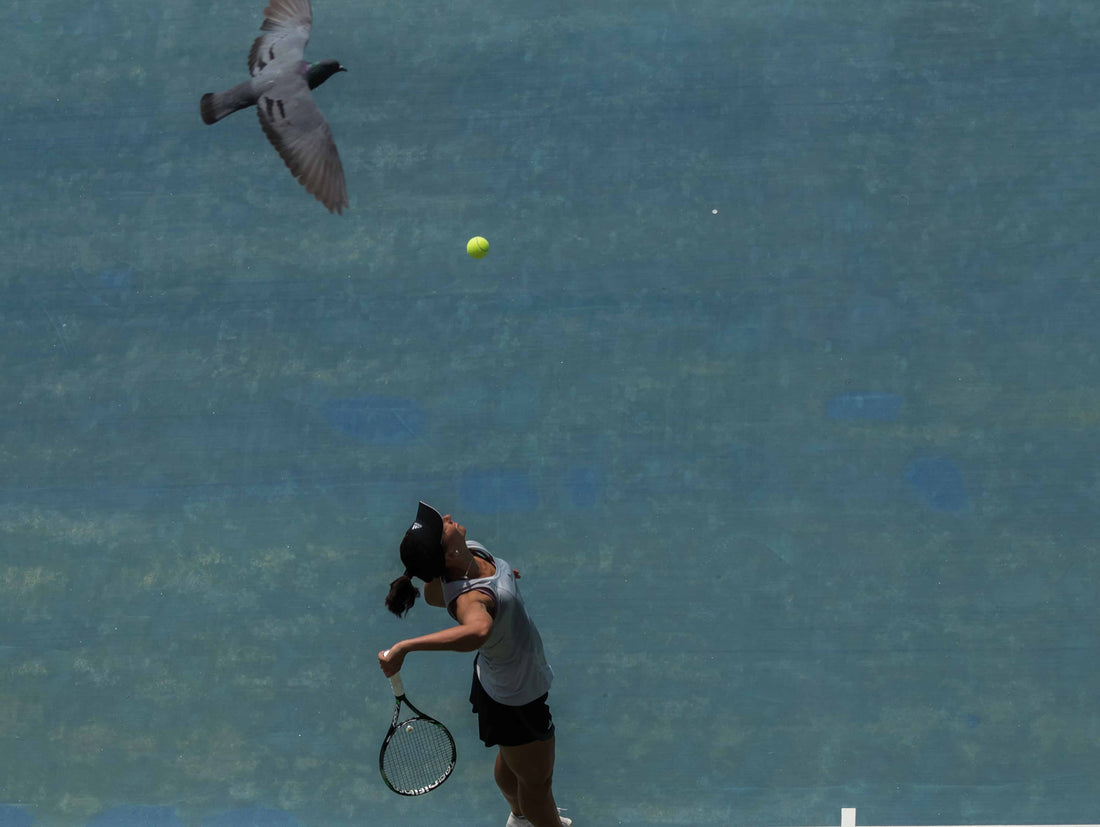 Bird overhead on tennis court