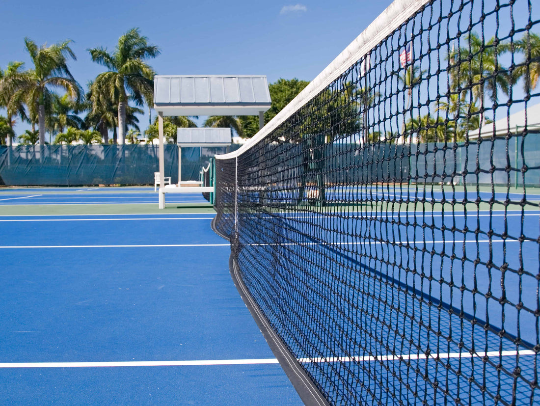 Tennis net with court and palm trees in background