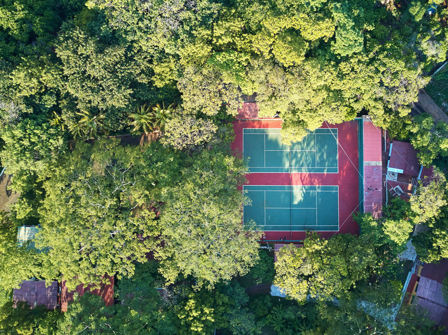Aerial view of a tennis court surrounded by dense green trees and foliage.