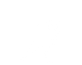 domain strato