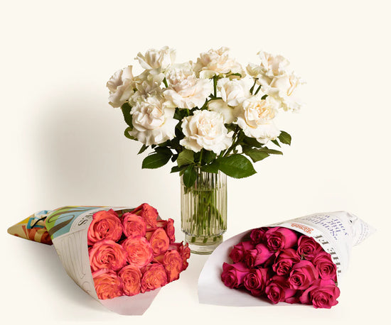 3 fresh bouquets of vibrant pink, red, and white roses.