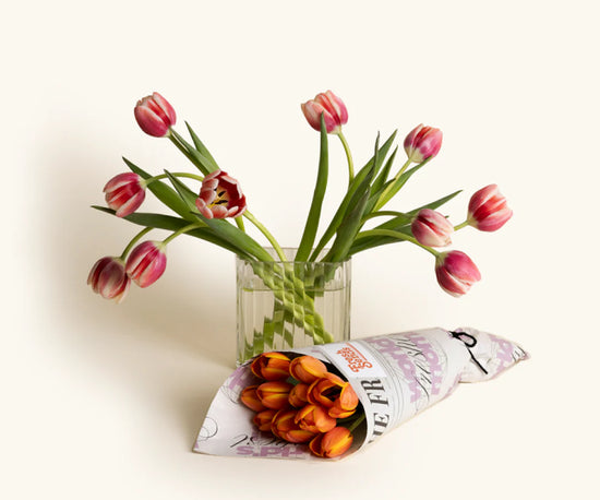 Tulips in a vase.